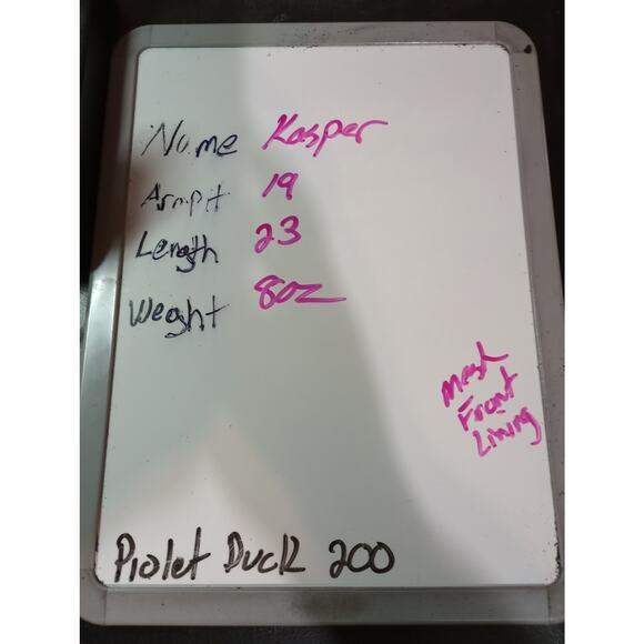 Kasper Blouse Womens Small Sleeveless Pleated Mesh Overlay Vibrant‎ Top - Picture 8 of 8